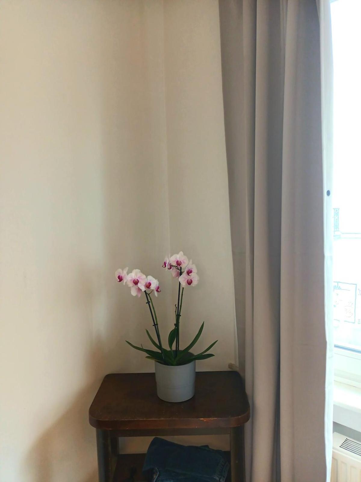 Beautiful 2 Bedroom In Place Flagey Bxl Brussel
